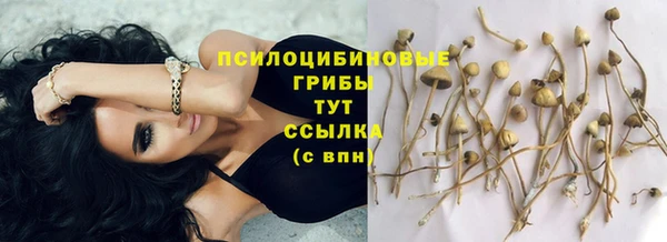 гашиш Горняк