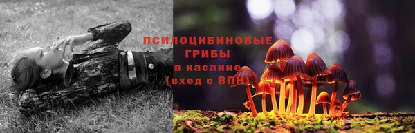 ALPHA PVP Горно-Алтайск