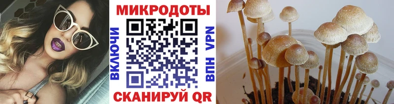 Купить  Артём  Галлюциногенные грибы ЛСД 